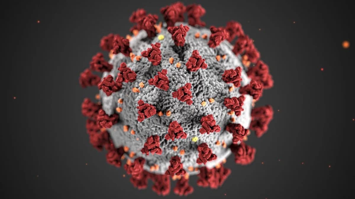 Magnified illustration of the coronavirus